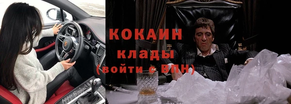 прущие грибы Семикаракорск