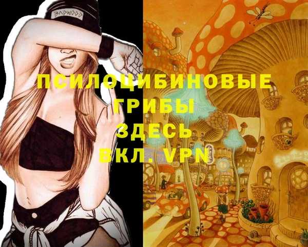 МДПВ Абинск
