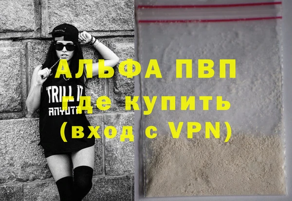 прущие грибы Семикаракорск