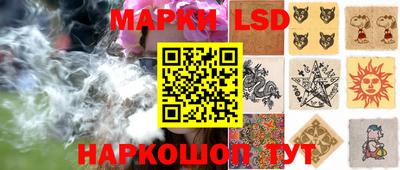 шишки Заволжье