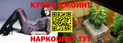 стаф Заводоуковск