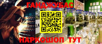 шишки Заволжье
