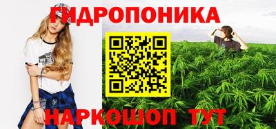 стаф Заводоуковск