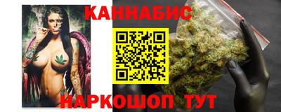 стаф Заводоуковск