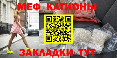 шишки Заволжье