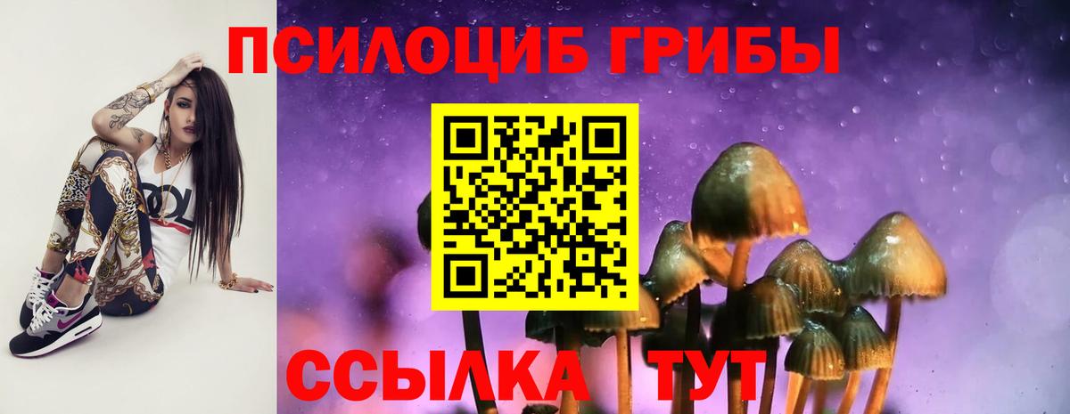 Луга  Псилоцибиновые грибы Psilocybine cubensis  Вход с VPN 