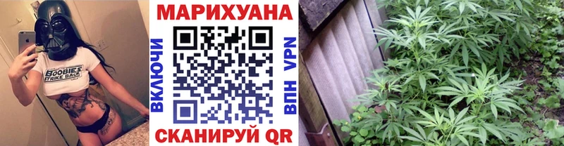 Марихуана Amnesia  как найти   Луга 